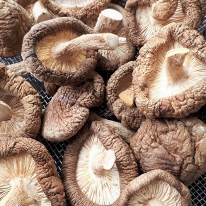 超簡単に出来る 安くて安心自家製干し椎茸 レシピ 作り方 By 林檎じゃむ 楽天レシピ